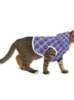 17684471113049056347_2048.jpeg