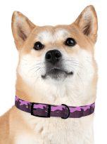 17687443289400481672_4096.jpeg
