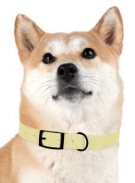 1781662960452663055_4096.jpeg