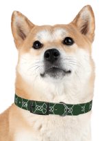 18067692530316357264_4096.jpeg