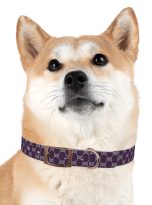 18082033986018578905_4096.jpeg