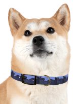 18246636355231389392_4096.jpeg