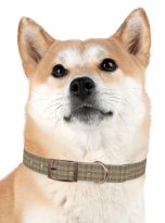 1963782912062004043_4096.jpeg
