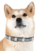 2124611589407041919_4096.jpeg
