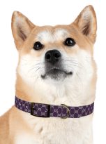 2222123890907463664_4096.jpeg