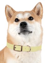2278355342778424052_4096.jpeg