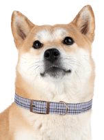 2309730677734514998_4096.jpeg