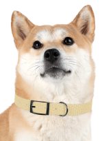 2699494073918838587_4096.jpeg