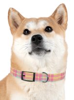273689273938853277_4096.jpeg