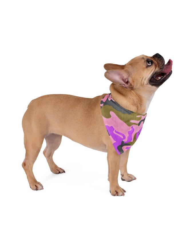 Pet Bandana
