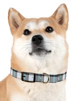 2794537190774657592_4096.jpeg