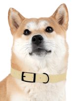 2918516283432035640_4096.jpeg
