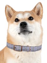 3287346512561940041_4096.jpeg