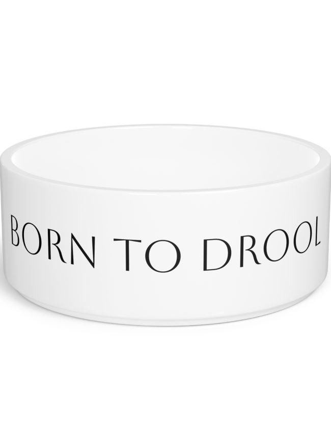 Pet Bowl