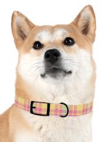 3610726555202094897_4096.jpeg