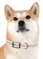 4007585165987238382_4096.jpeg