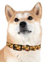 4075218855352252037_4096.jpeg