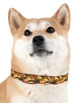 4204210803316211249_4096.jpeg