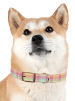 4205780251311501161_4096.jpeg