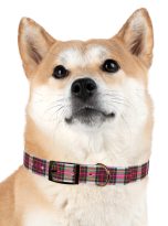 433094912414340420_4096.jpeg