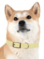 4596239580370033559_4096.jpeg