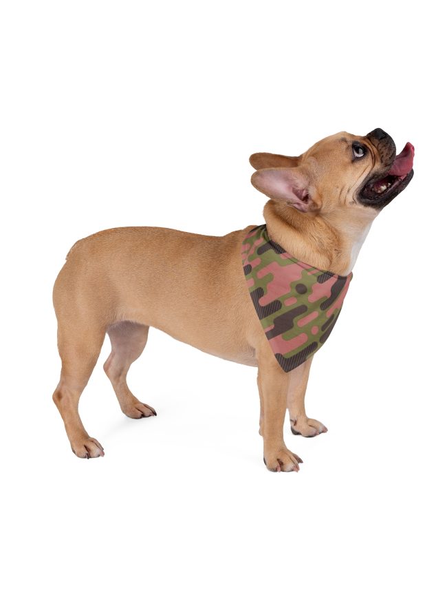 Pet Bandana