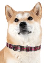 4811239418049286463_4096.jpeg