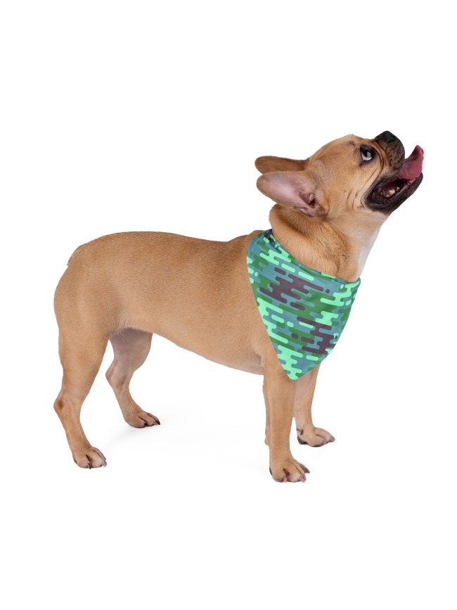 Pet Bandana