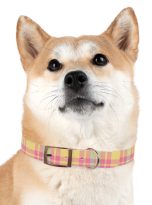 5041149592506244393_4096.jpeg