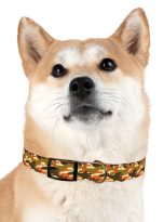 5096101109748650181_4096.jpeg
