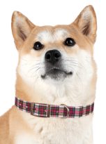 520977199605611643_4096.jpeg