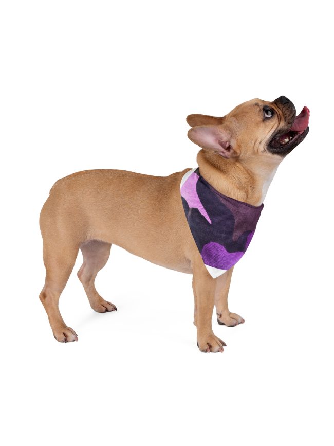 Pet Bandana