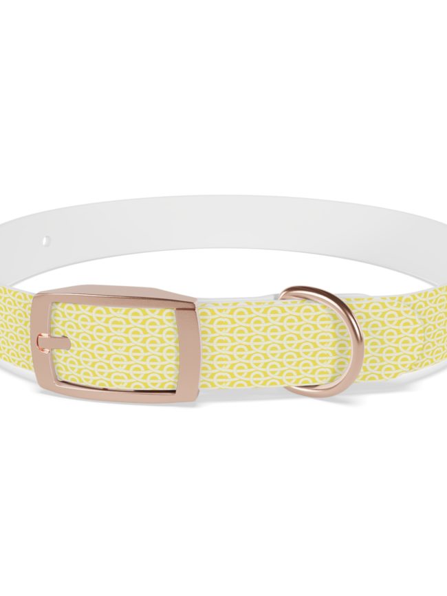 Stylish Dog Collar for Every Occasion, Personalized Pet Accessory, Durable Dog Leash, Chic Dog Fashion, Gift for Dog Lovers
