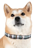 5524883404081120294_4096.jpeg