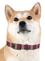 569160741432809639_4096.jpeg