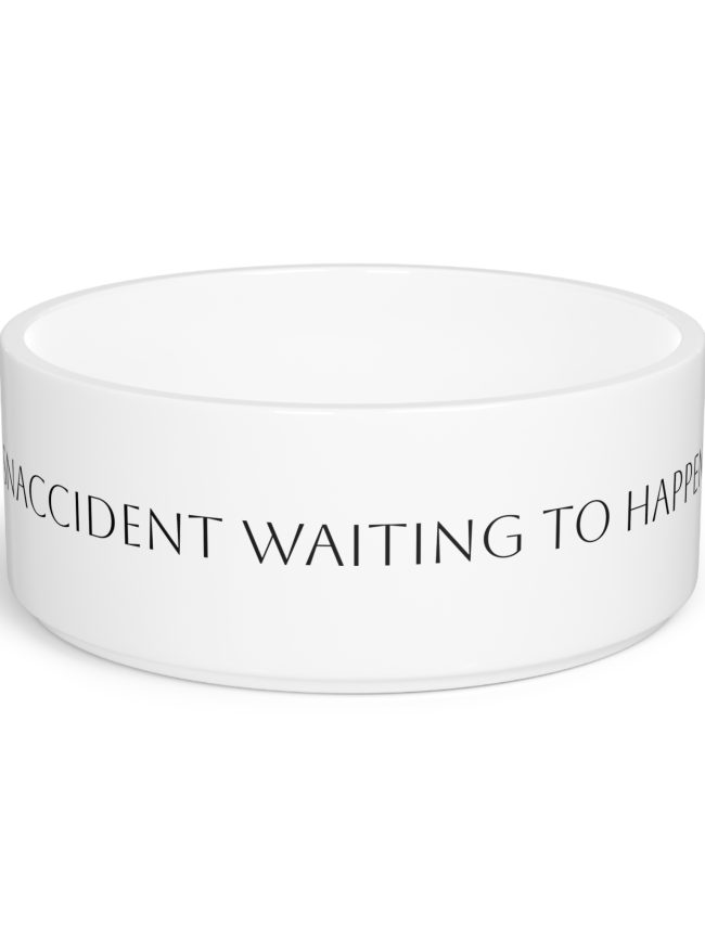 Funny Pet Bowl - Accident Waiting to Happen, Snaccident, Dog Bowl, Cat Dish, Pet Accessory, Gift for Pet Lovers