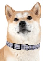 582779667267228895_4096.jpeg