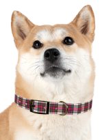 6065847886575199937_4096.jpeg