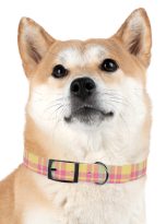 6084672139069646527_4096.jpeg