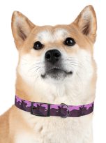 6098981469146331723_4096.jpeg