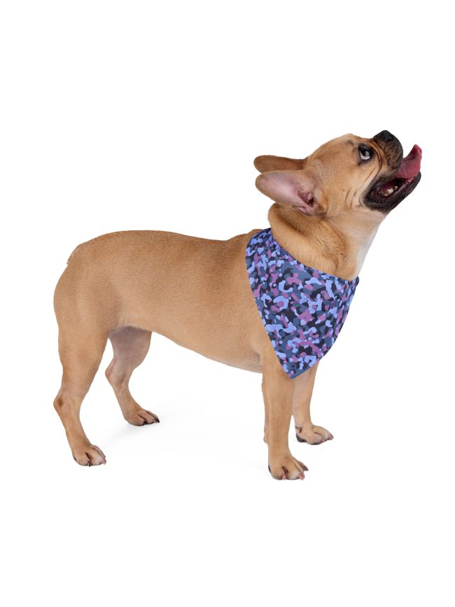 Pet Bandana