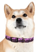 6159150955075549169_4096.jpeg