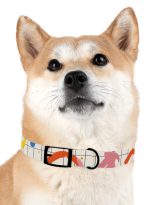 6504010210350891253_4096.jpeg