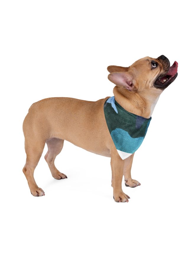 Pet Bandana