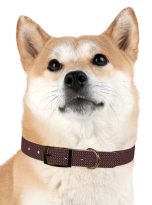 6806000723356186751_4096.jpeg