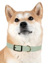 7043697433651431008_4096.jpeg