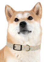 7149314078035221764_4096.jpeg