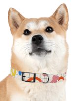 74028091347503917_4096.jpeg
