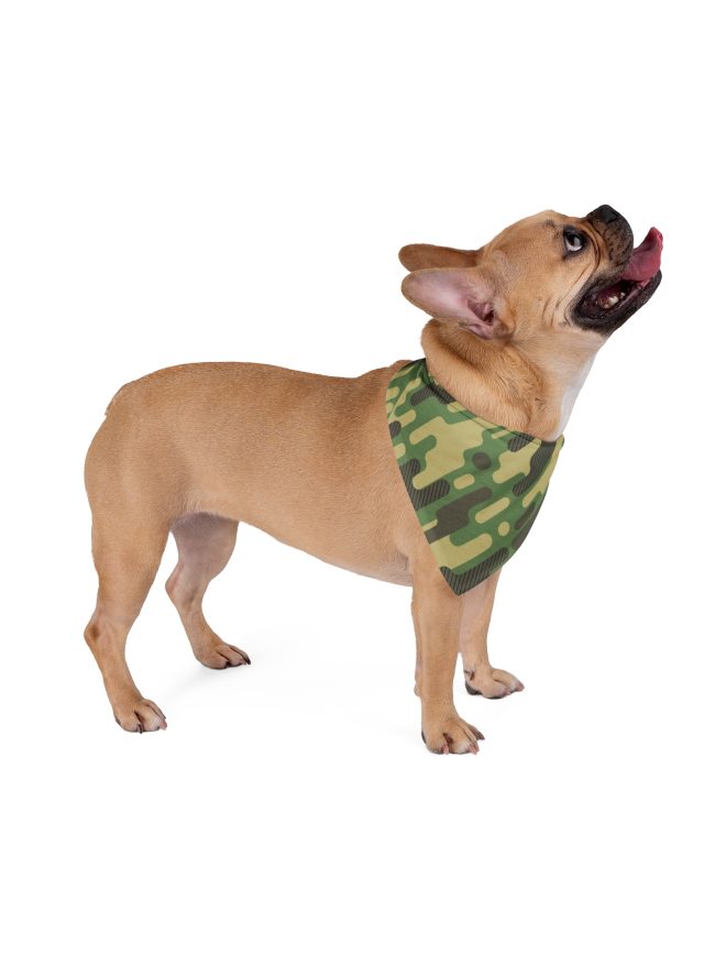Pet Bandana