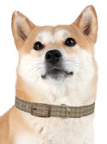 8290522489533586420_4096.jpeg